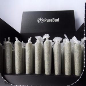 Purebud Pre Rolls