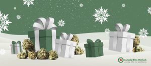 Happy holidays for Canada Bliss Herbals
