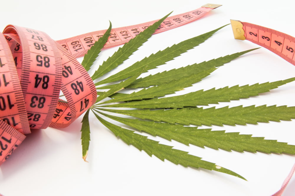 Cannabis for Weight Loss