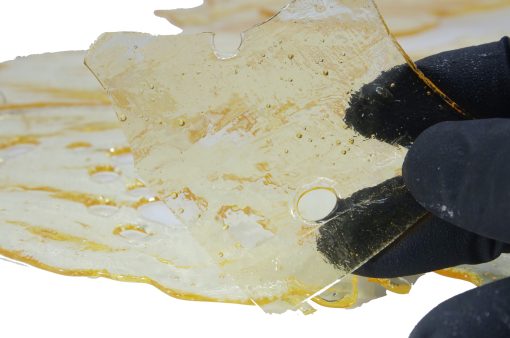 gelato shatter glove scaled