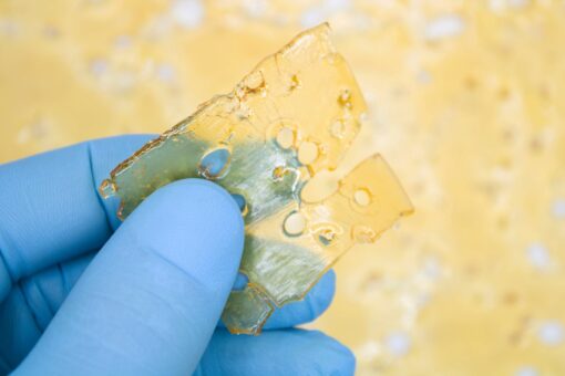 Blueberry Crumble Shatter