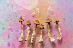 Magic Mushrooms For Anxiety