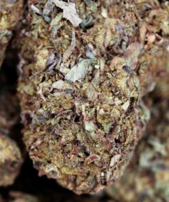 Buy Kandy Kush Online