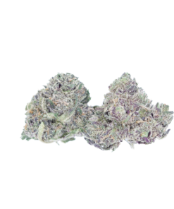 buy purple punch online