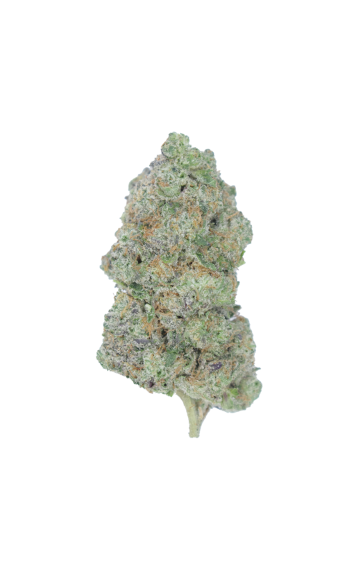 Frosted Fruitcake (LSO)